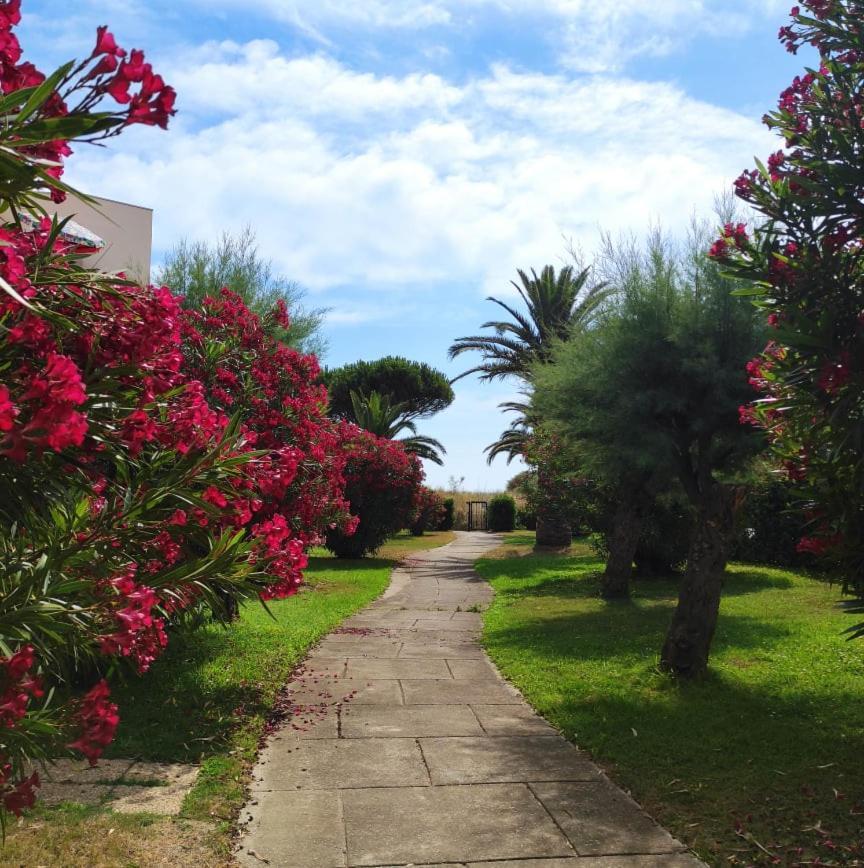 Les Capitelles 5 - Acces Direct A La Plage Depuis Le Jardin - T2 Avec Cabine - 6 Pers - Jardin - Piscine - Parking Saint-Cyprien  Exterior foto